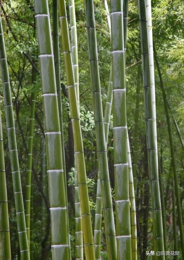 南平建阳是否有发展,南平融入新发展格局