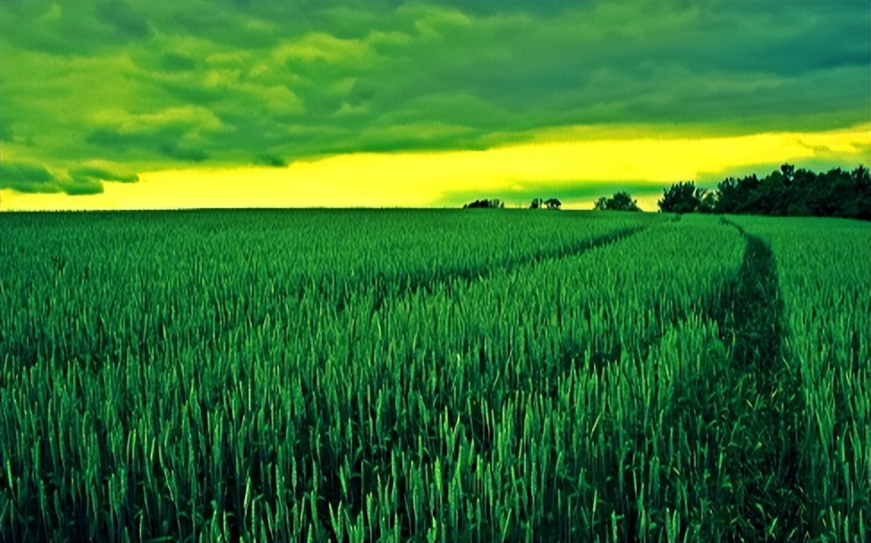 如何通过政策支持农业可持续发展,农业可持续性发展的理论与实践