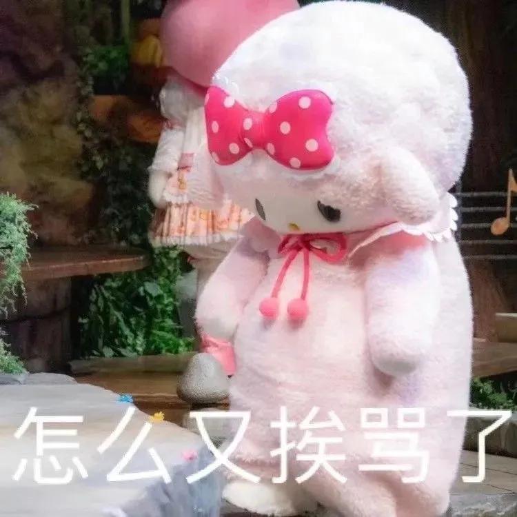 可爱的动物表情包画像,动物表情包猫猫