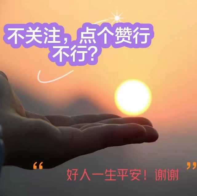 股票人气交流论坛,股票波段操作论坛