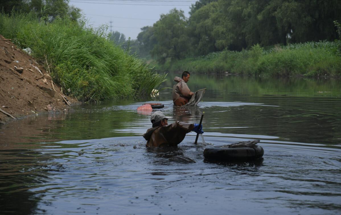 一天能捞100多斤!中国多地出现“捞虫族”,暴利下风险有多大?