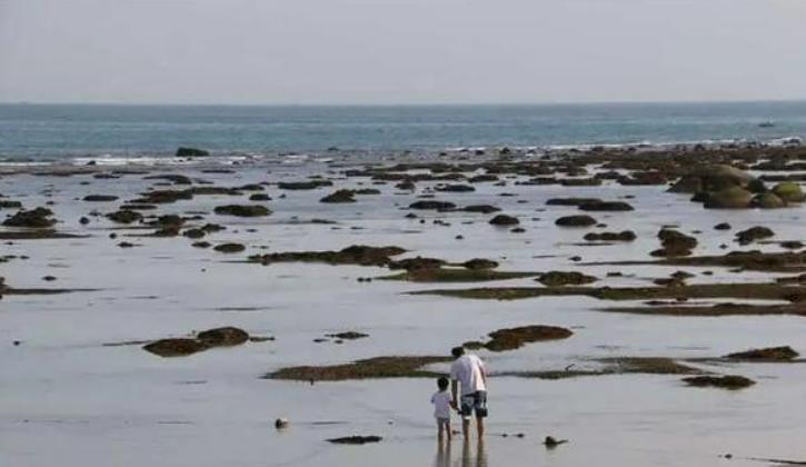 福建海边出现神秘金片，遭渔民哄抢一空，专家调查后：金片不简单