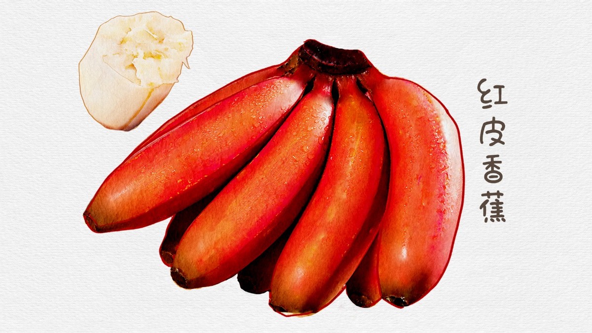 香蕉哪种品种最好吃,怎么挑选香蕉什么样的香蕉好吃