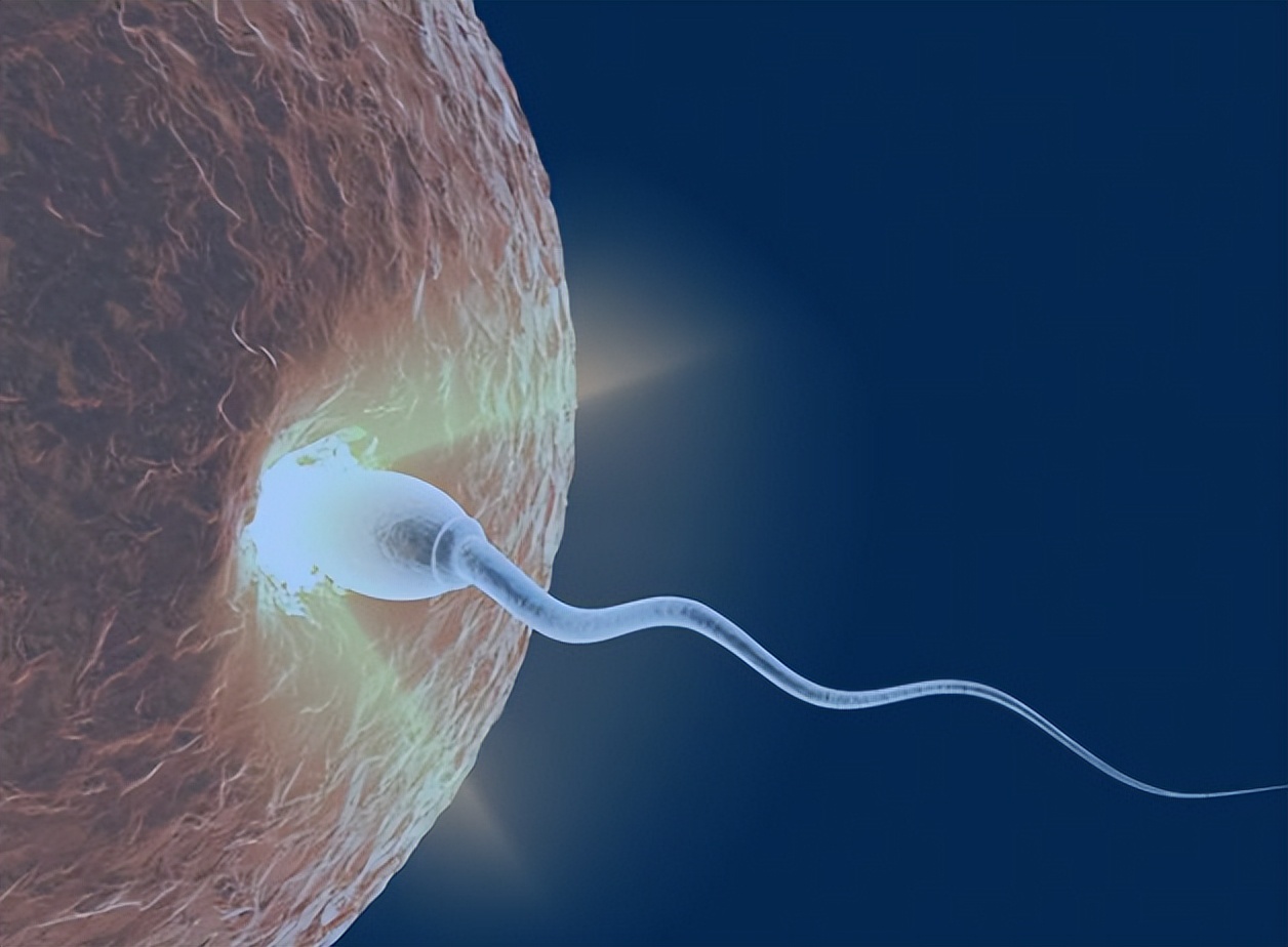 男人的精液天天都产生，不想办法排出去，会憋坏“蛋蛋”吗