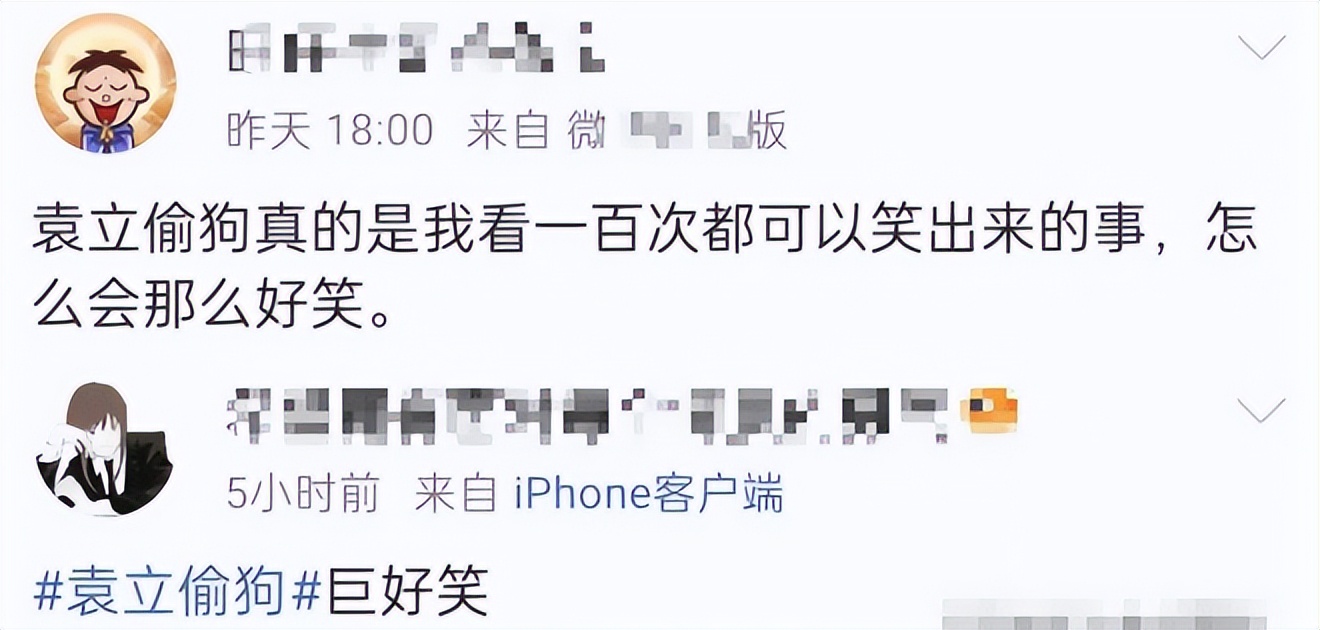 袁立偷狗搞笑视频,袁立讲偷狗的视频