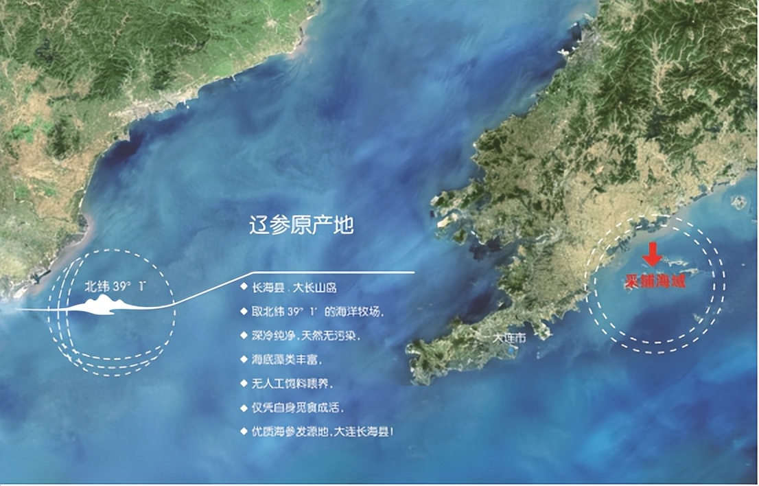 海参为什么不能碰到油,海参不能遇到油为什么可以炒着吃