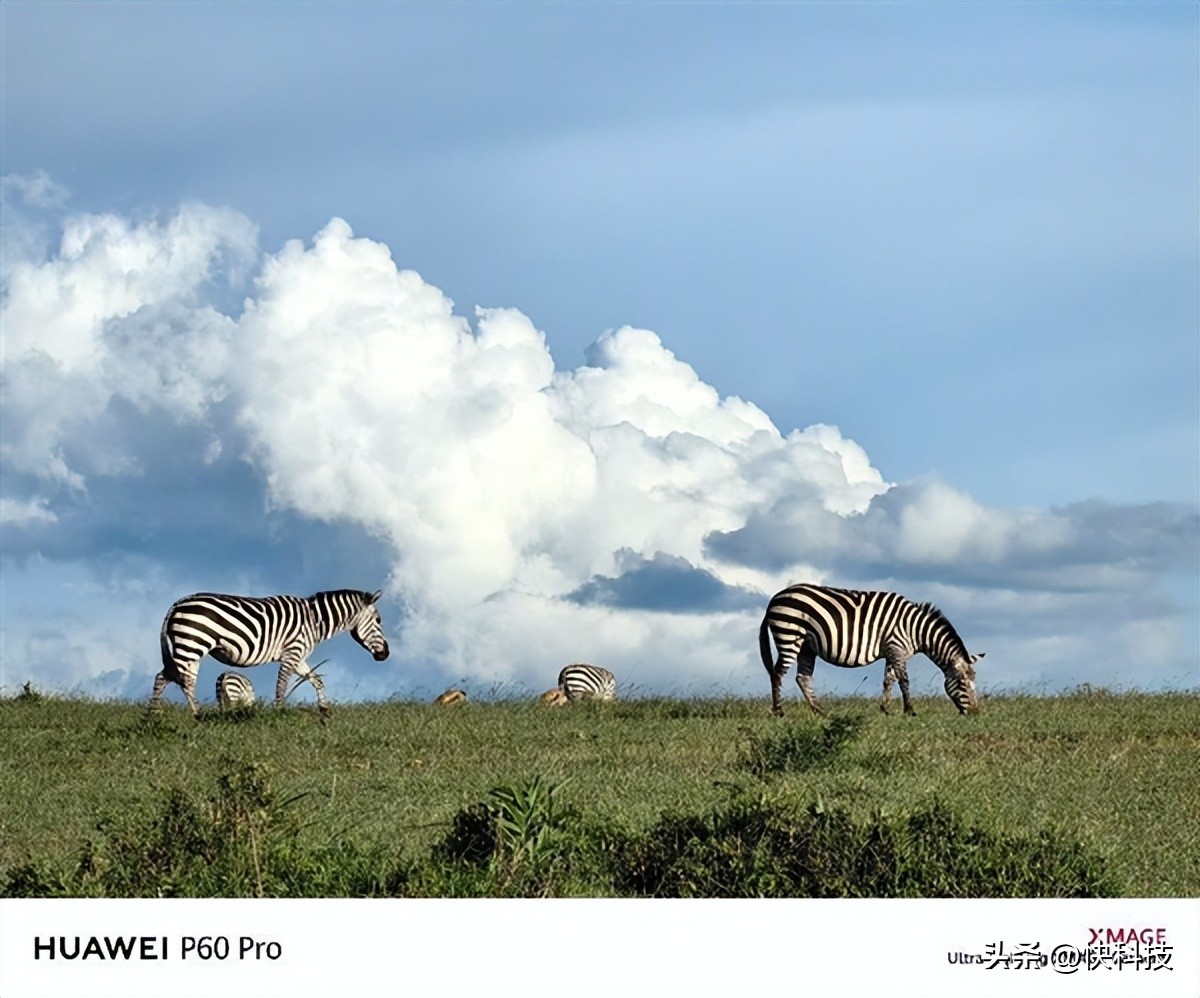 华为p60pro拍照智慧视觉,华为p60pro重塑手机影像新体验