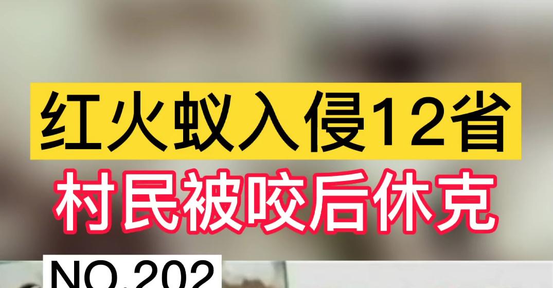 红火蚁已入侵四川48个县市区,红火蚁被入侵的视频
