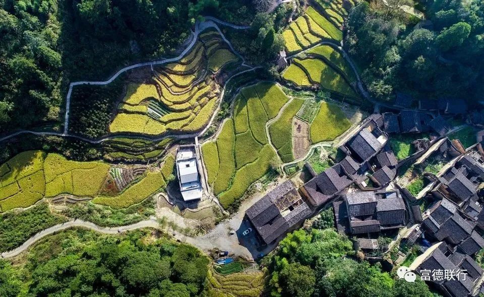 乡村振兴优化乡村发展布局,优化人居环境乡村振兴