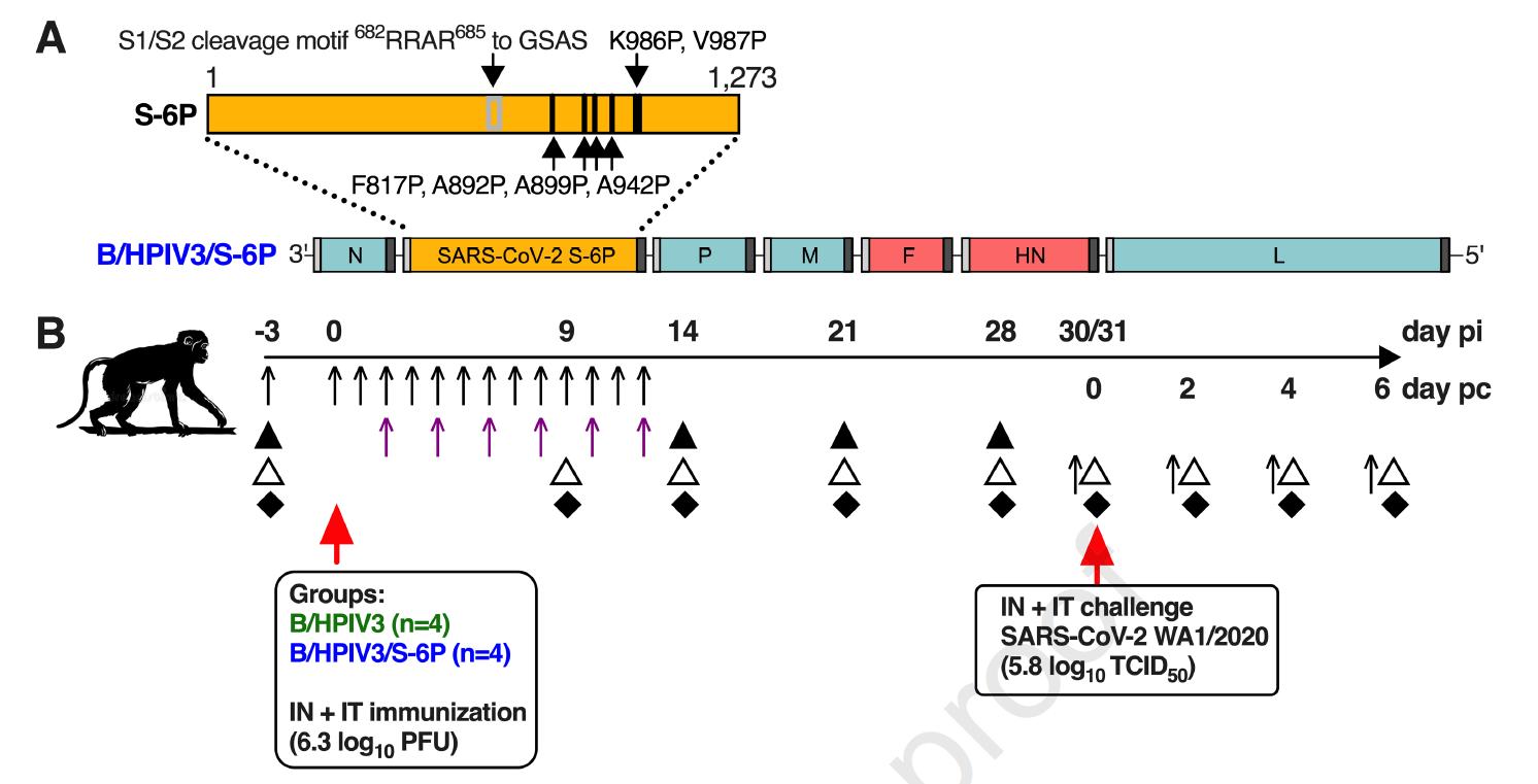 鐮旂┒sars-cov-2鐥呮瘨,cov2鍙樺紓鐥呮瘨鐤嫍