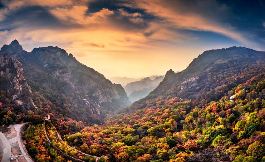 十五的月亮圆又圆中秋月饼香又甜,十五的月亮中秋节