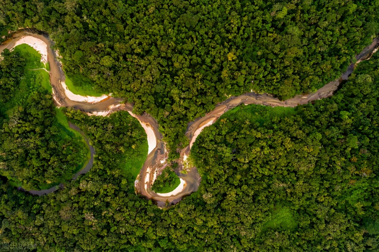 地球有史以来最大的蟒蛇,地球史上最大的蛇类
