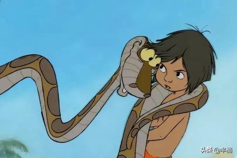 巨型网纹蟒蛇,680斤网纹蟒蛇真实视频