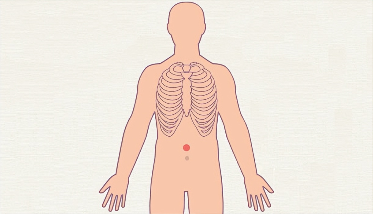 消水肿食疗汤,消水肿常用药