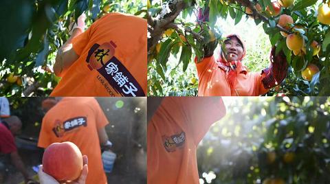 “小罐头”的“*荣大**耀”，林家铺子以实力铸就罐头行业领先品牌