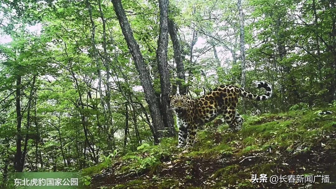 喜迎二十大奋进新征程短视频,喜迎二十大奋进新征程30秒视频