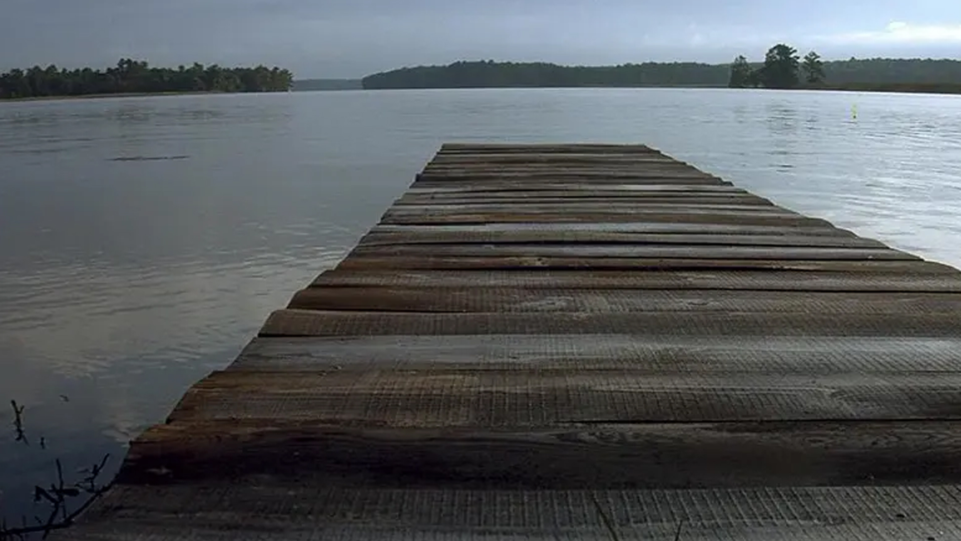 泰伦斯马利克镜头分析,泰伦斯马利克电影中的长镜头