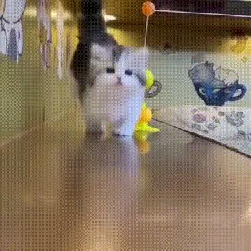 搞笑囧图：质数在生活中有什么作用？没有美女的行业是没有前途的