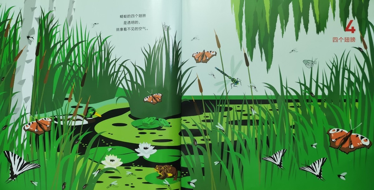 绘本和我一起数星星,儿童绘本推荐3-6岁星星主题