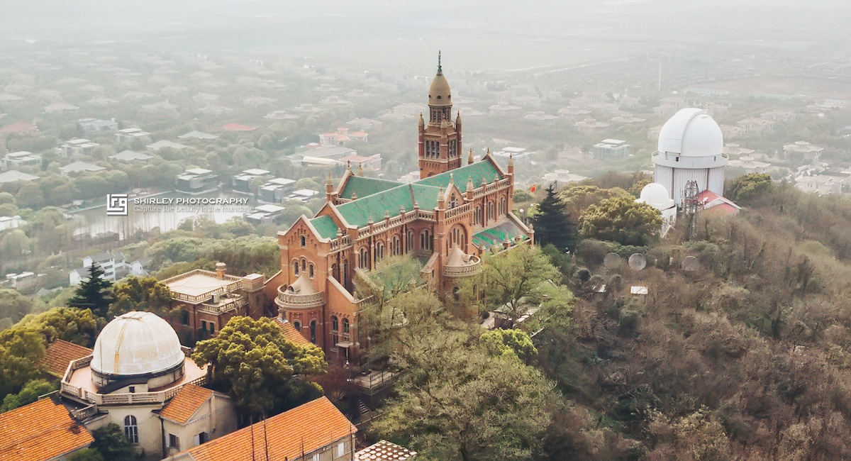 上海海湾国家森林公园在什么地方,上海国家森林公园有几个