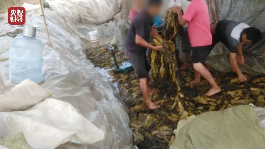 315晚会曝光了这12件事,315晚会曝光后各地反响评论