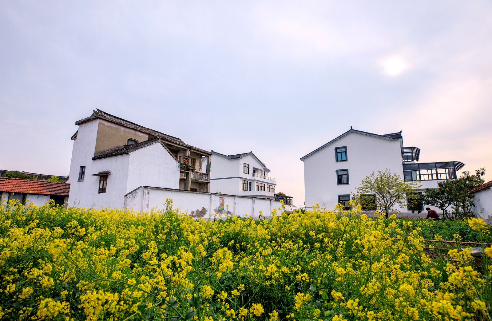 沙家浜景区诗句,沙家浜芦荡在什么地方