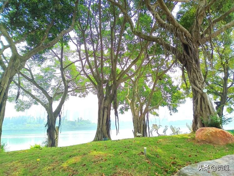 筼筜书院国学,思明区筼筜书院