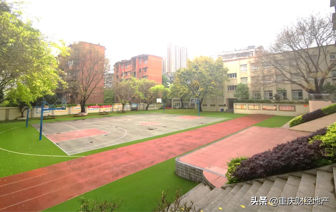 重庆南区小学简介,南区小学重庆