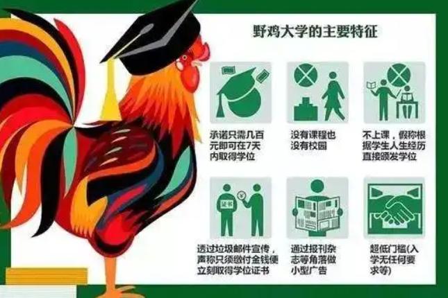 河北省害人不浅的5所大学，官方早已公开点名，毕业证“不值钱”