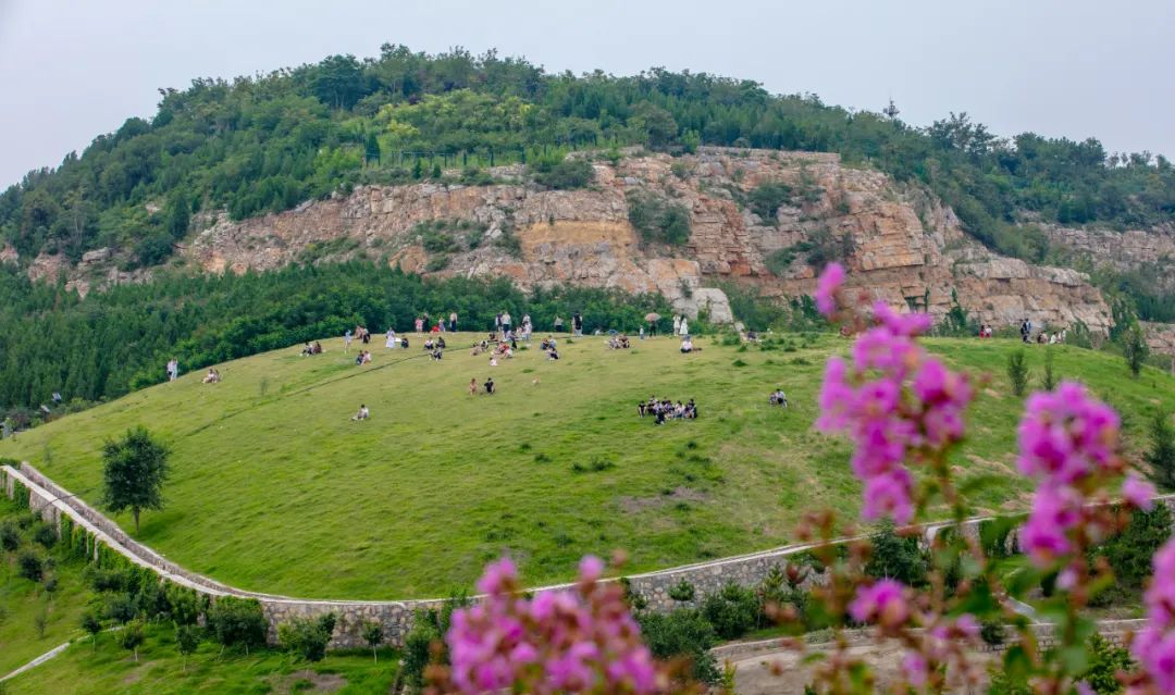 山东有海有雪有山有平原,山东有没有广阔草原