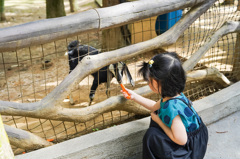 安吉中南百草园二天一夜攻略,安吉中南百草原刺激游乐项目