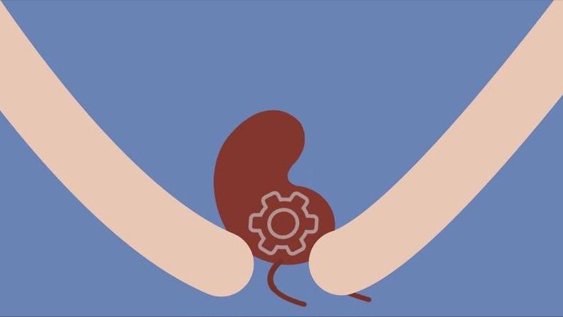 尿路感染多严重才可以感染到肾,切掉一个肾对泌尿系有影响么