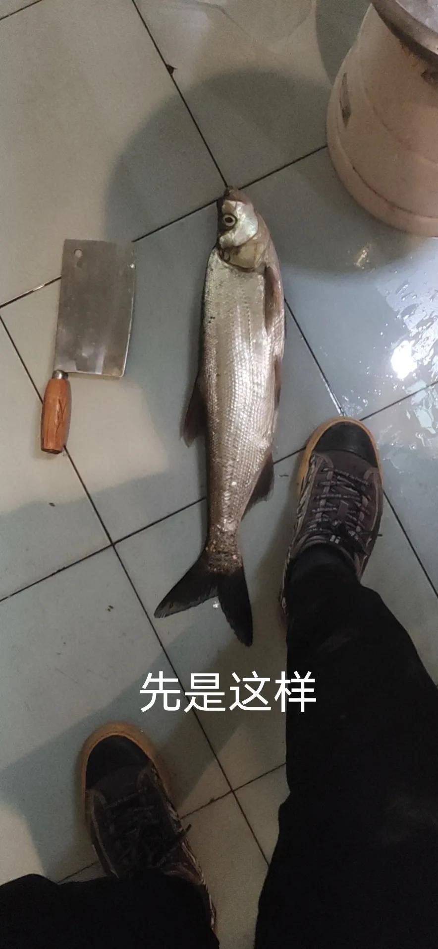 路亚钓翘嘴的正确方法和技巧,路亚翘嘴怎么钓有什么技巧和动作