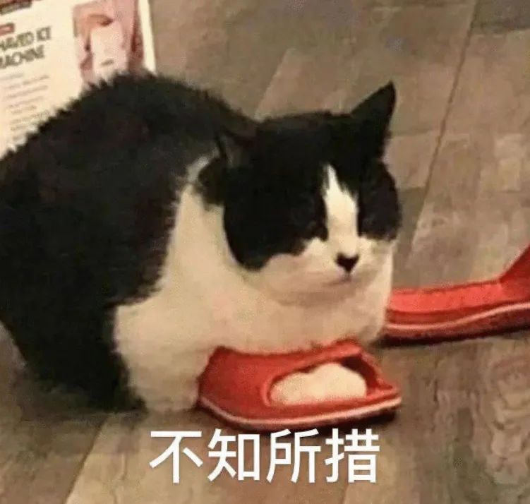 信息发错群怎么缓解尴尬,信息发错群了怎么补救