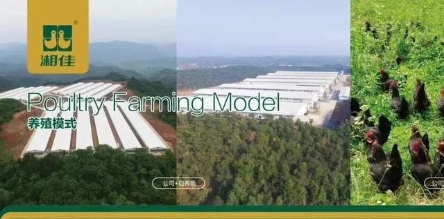 新业态助力文旅消费,加快培育文旅新消费新供给