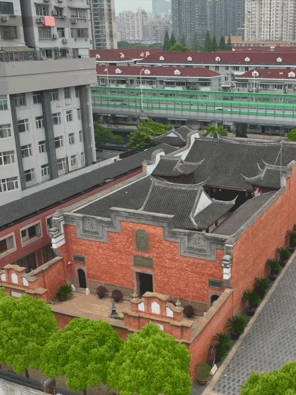 魔都自然博物馆,魔都的博物馆真的很有看头