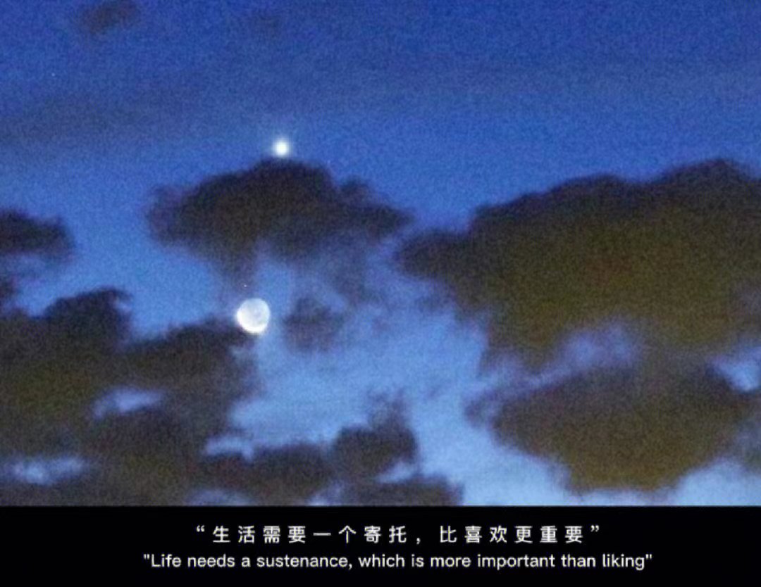 没有你的日子文案,我的城市没有你文案