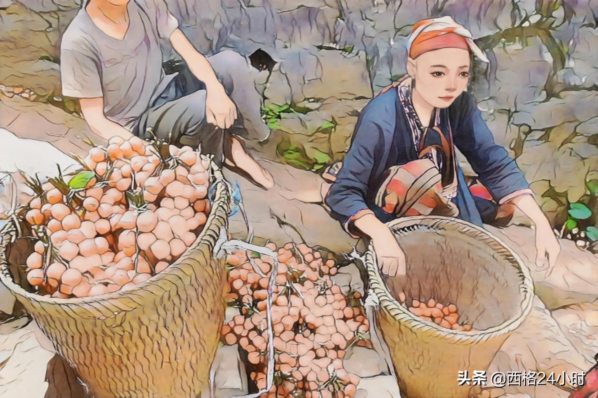 越南沙巴最值得去的地方 (越南沙巴自驾游最佳路线攻略)