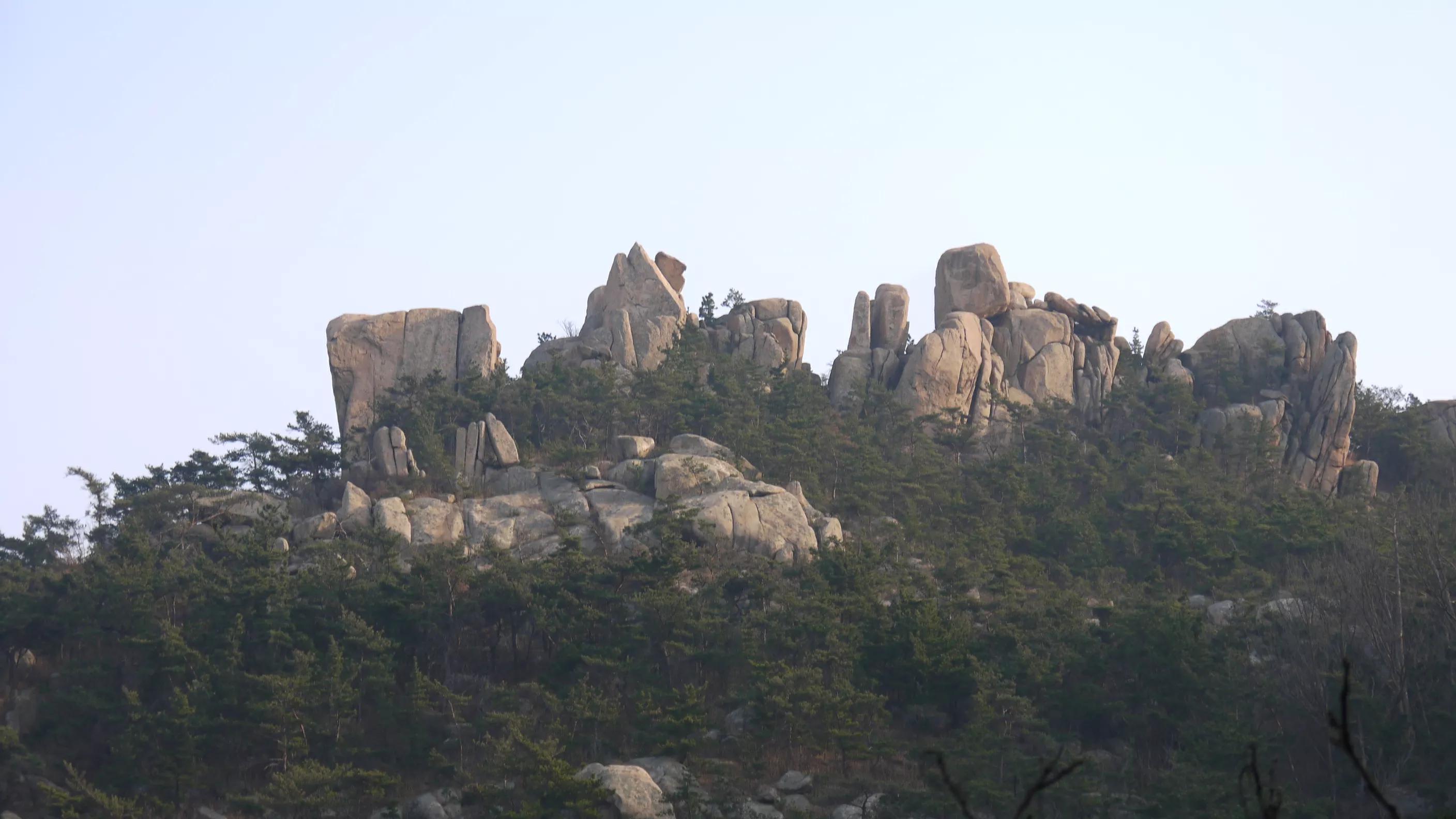 闈掑矝宕傚北浠板彛绱㈤亾,闈掑矝宕傚北浠板彛璧舵捣
