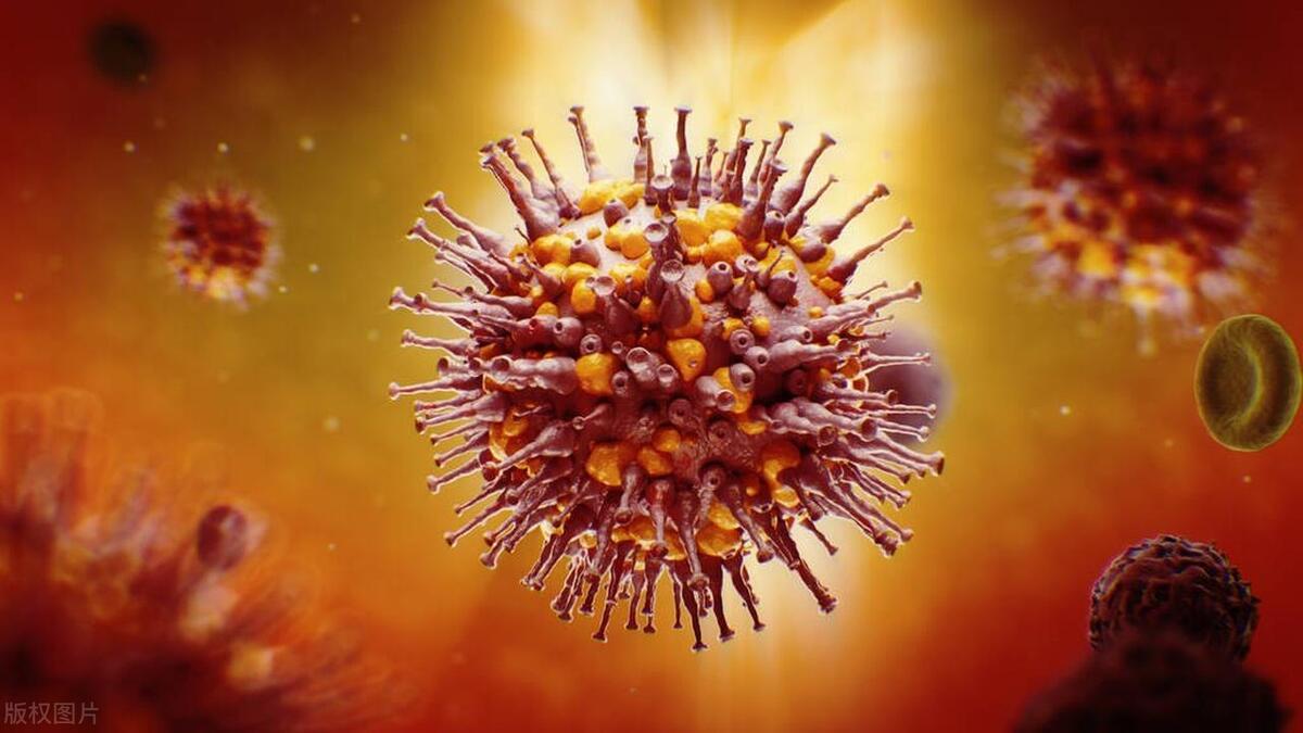 猴痘病毒的防治手段,猴痘病毒中医治疗方法