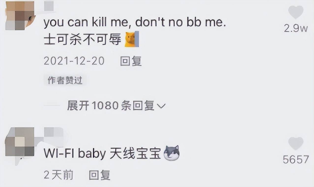 外国人评价中西结合,中西结合式英语视频