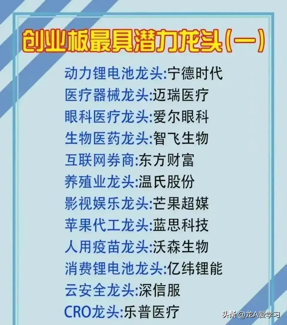 创业板医美龙头股有哪些,创业板科技行业龙头股一览表