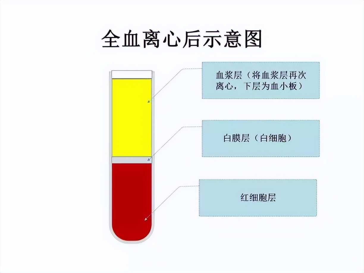 日本自卫队与中国军队联合演习,日本自卫队与美国陆军联合演习