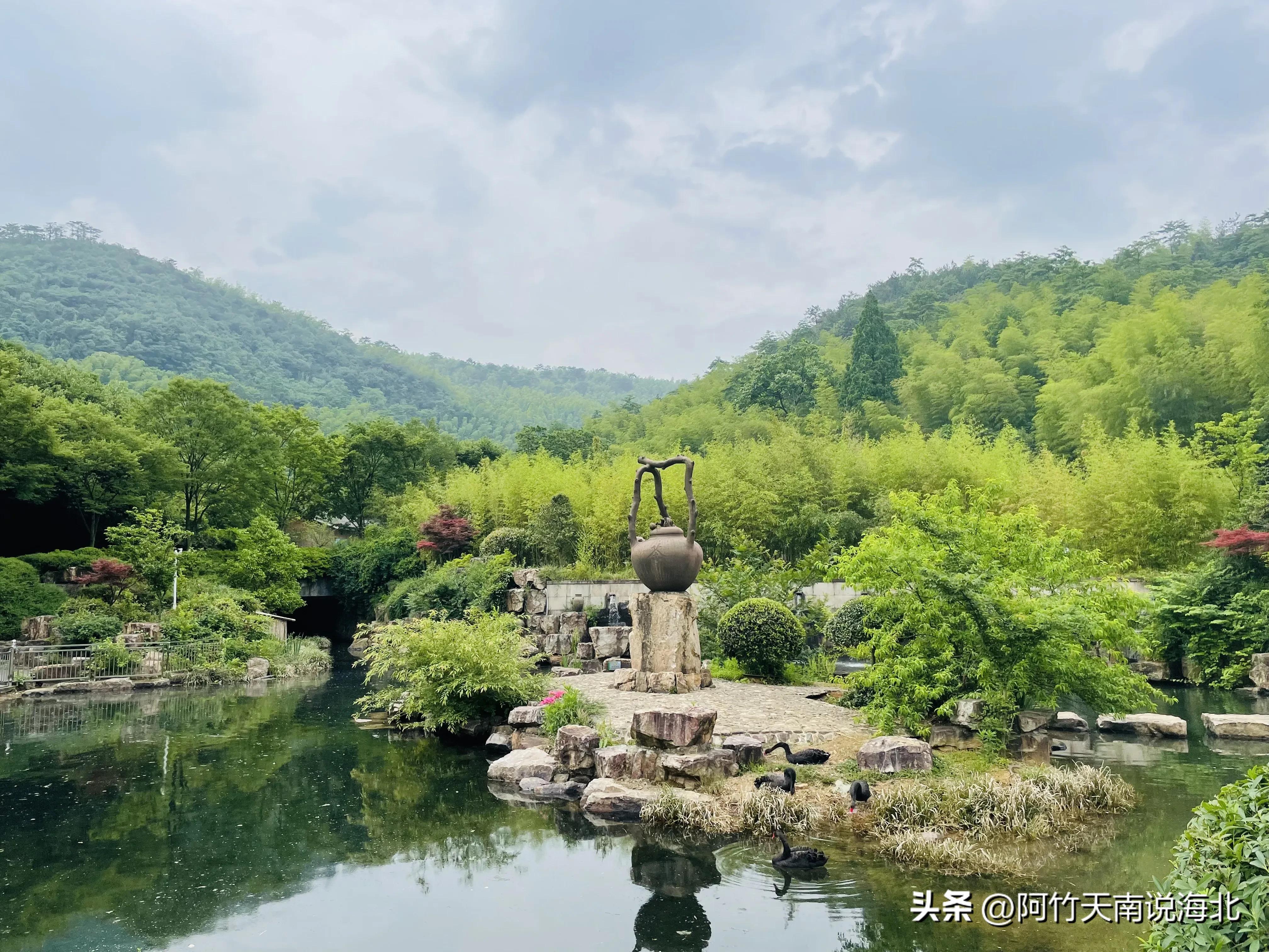 森林氧吧宜兴竹海,宜兴竹海森林氧吧