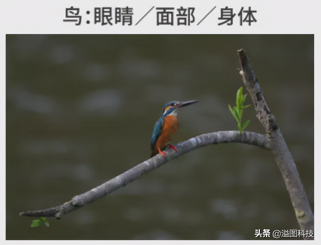 聊聊我为啥买蔚来es6,佳能eosr3价格多少钱