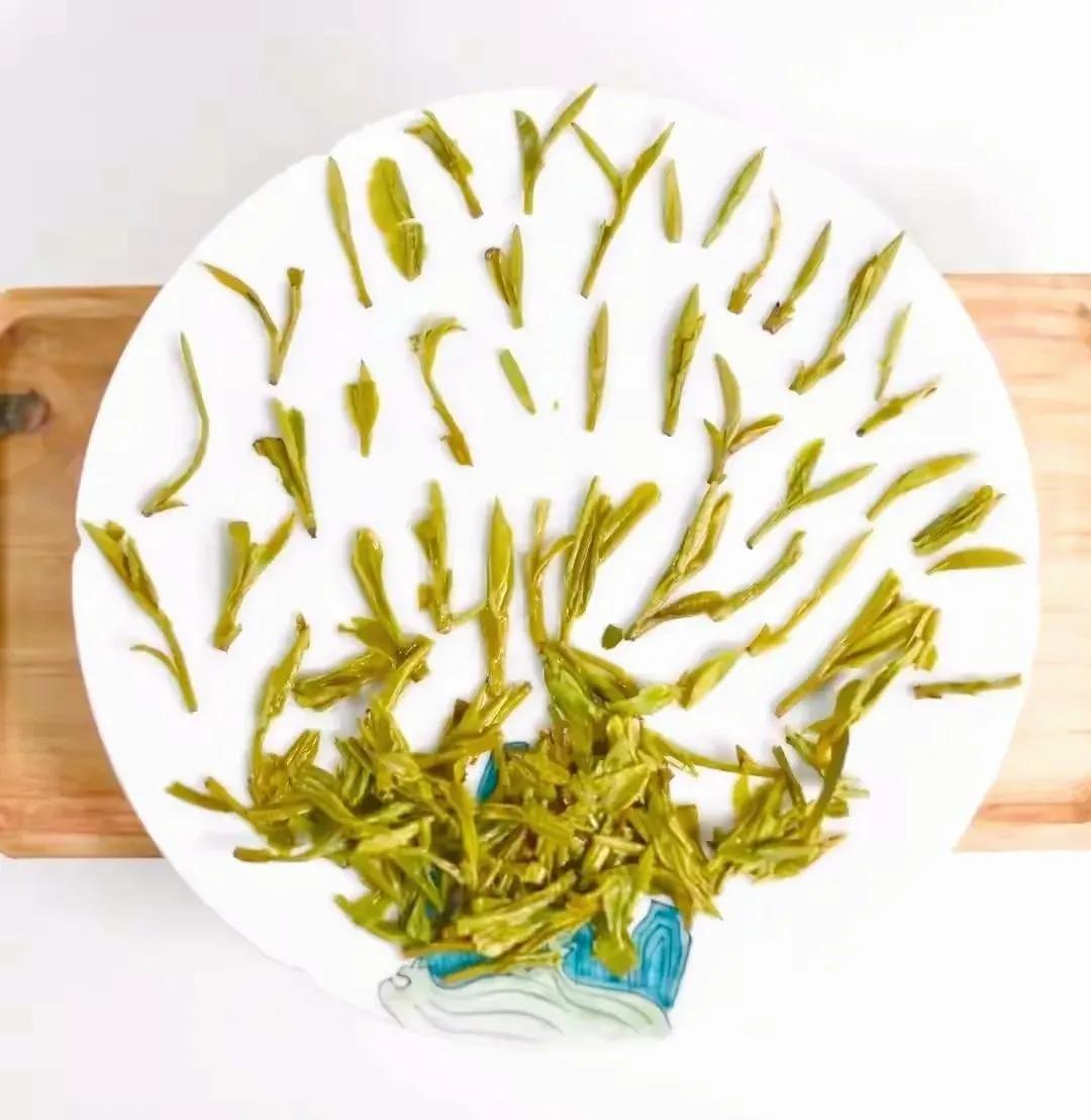 龙井与雀舌哪个口感好,龙井茶好喝还是雀舌好喝