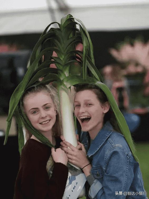 侵华日军残酷*行暴**，女子为活命脱下衣服让日本人拍摄，*辱侮**至死3