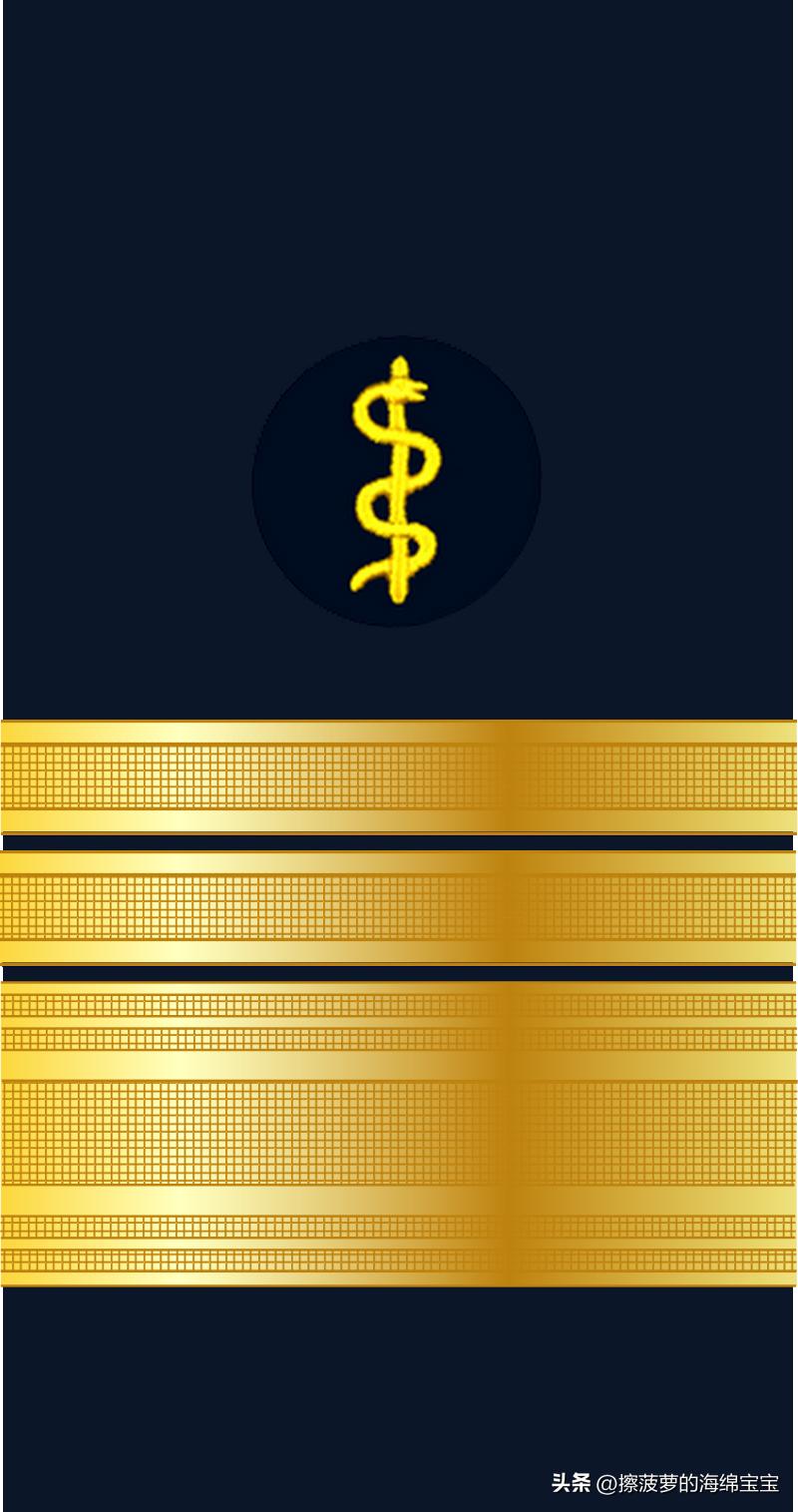 二战德国国防军医疗兵军衔标志