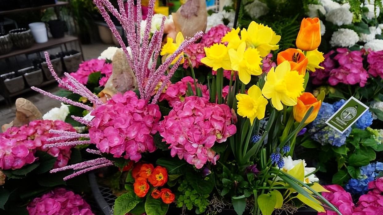 看看花市最受欢迎的6种花,这5种花再好看也别乱养