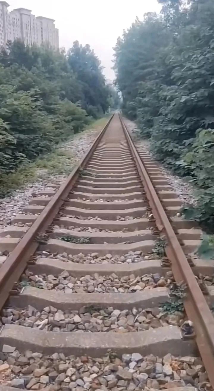 童年歌曲,童年罗大佑